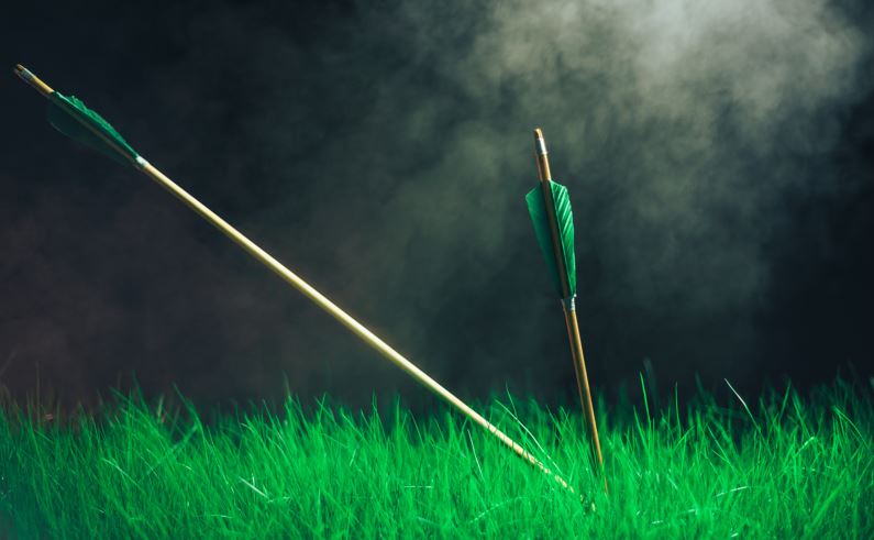 La parabole des deux flèches et la résilience en milieu professionnel