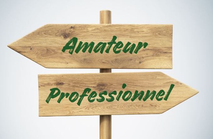 La quête de l’excellence : professionnel vs amateur