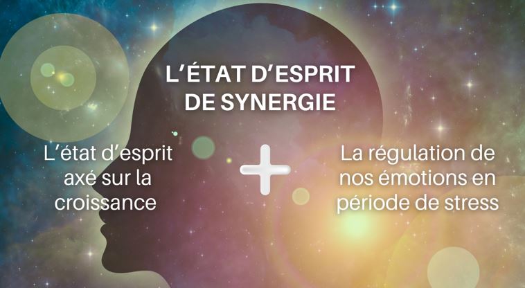 Connaissez-vous l’état d’esprit de synergie?